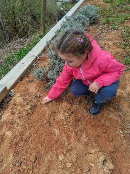 signal-2024-06-03-190842_026