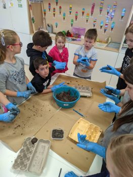 Izdelava semenske kroglice